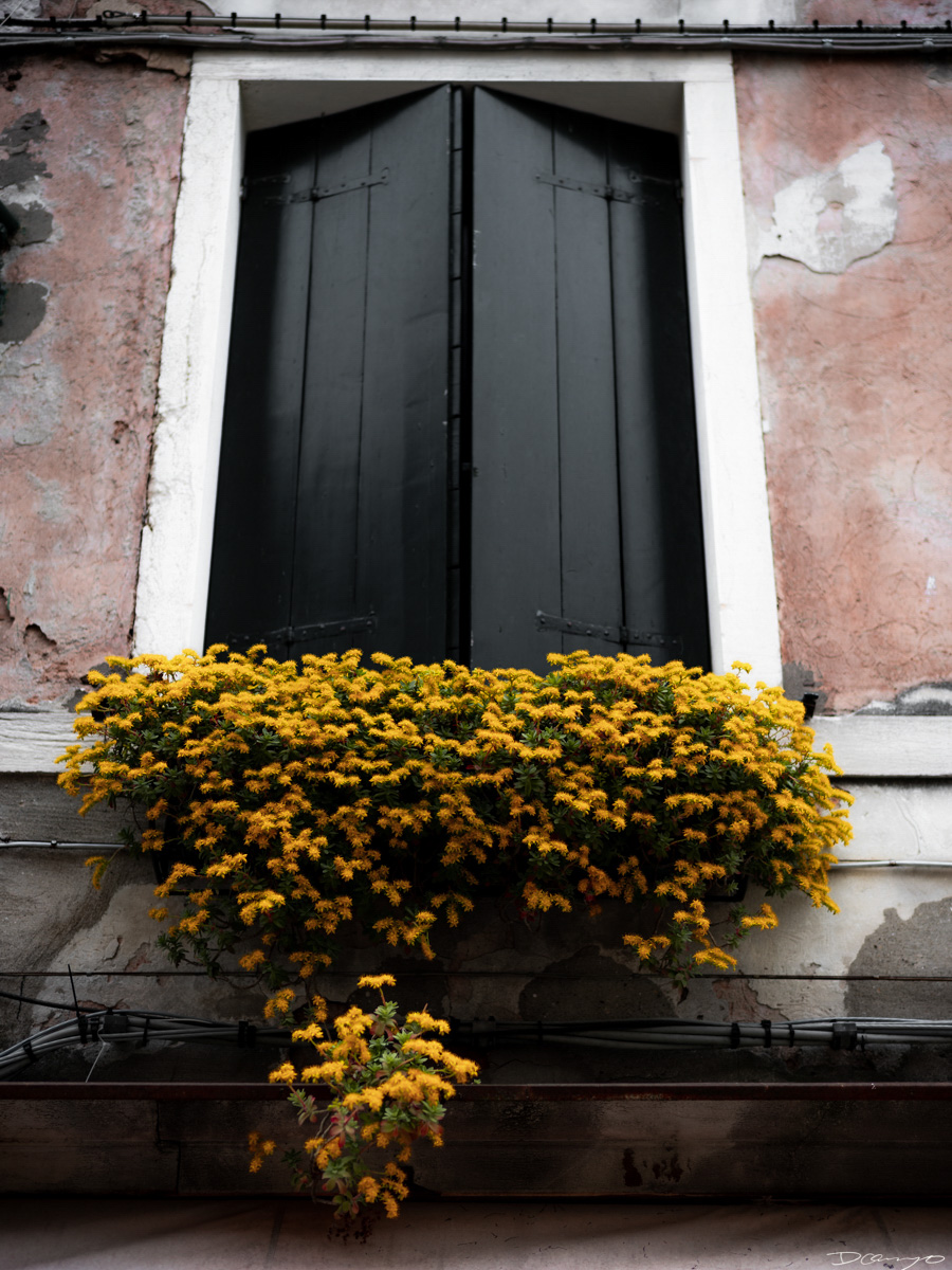 Photos from Rome, Venice, Florence, Tuscany, Manarola, Vernazza, Riomaggiore, Verona, Trento, and the Italian Alps in Spring of 2022.